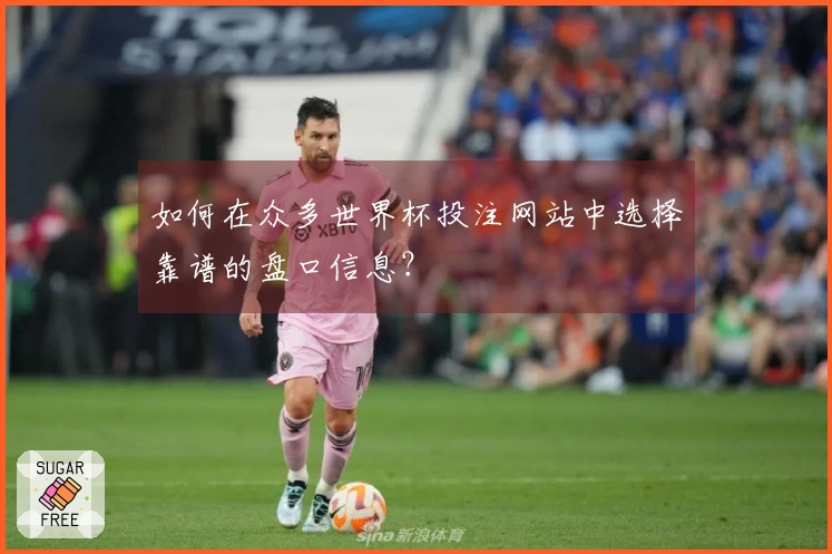 如何在众多世界杯投注网站中选择靠谱的盘口信息？
