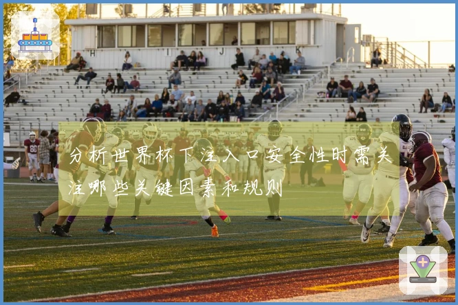 分析世界杯下注入口安全性时需关注哪些关键因素和规则