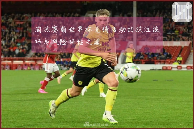 淘汰赛前世界杯竞猜活动的投注技巧与风险评估之道