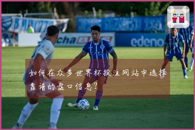 如何在众多世界杯投注网站中选择靠谱的盘口信息？
