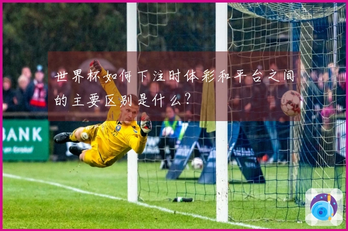 世界杯如何下注时体彩和平台之间的主要区别是什么？