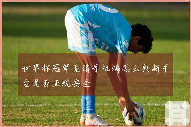 世界杯冠军竞猜手机端怎么判断平台是否正规安全